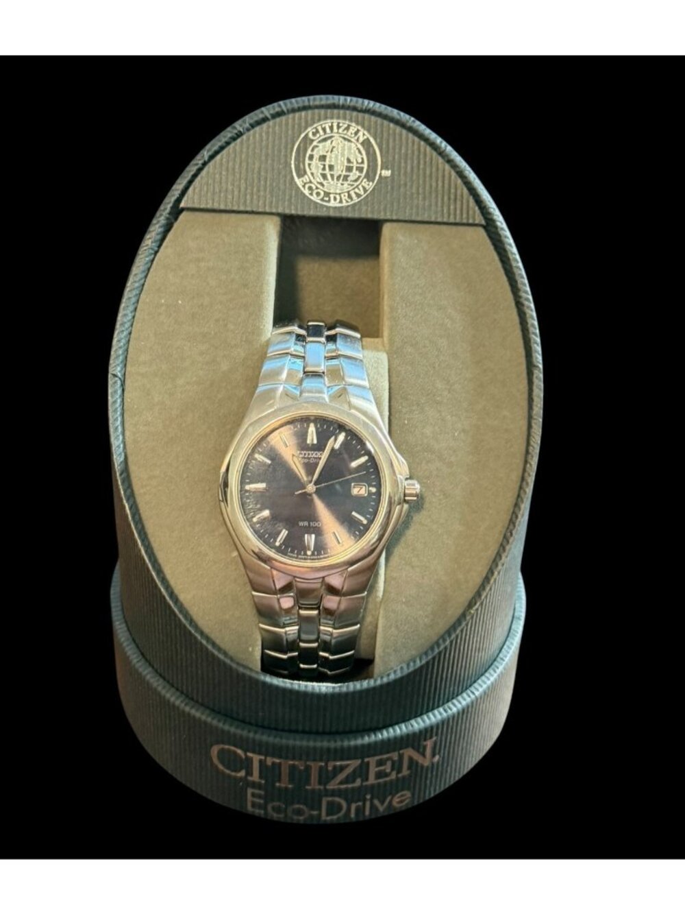 Citizen Eco-Drive Men's Stainless Steel Black Dial Date Wristwatch WR100